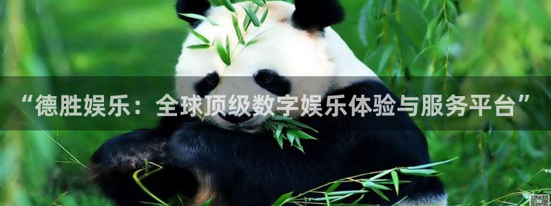 天顺娱乐：“德胜娱乐：全球顶级数字娱乐体验与服务平台”