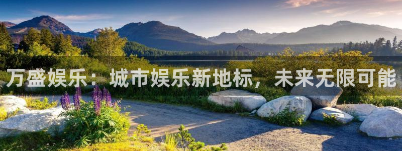天顺娱乐：万盛娱乐：城市娱乐新地标，未来无限可能