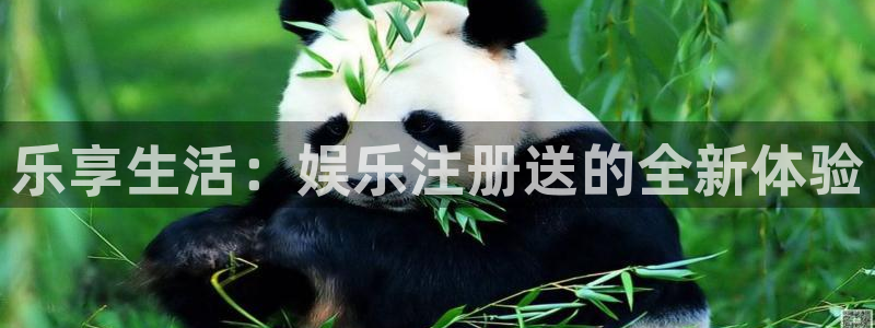天顺娱乐：乐享生活：娱乐注册送的全新体验