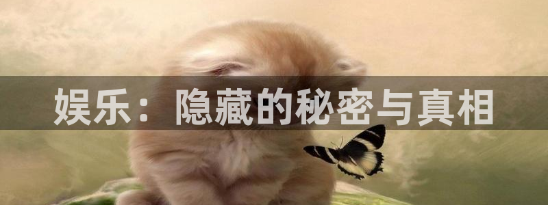 天顺娱乐：娱乐：隐藏的秘密与真相