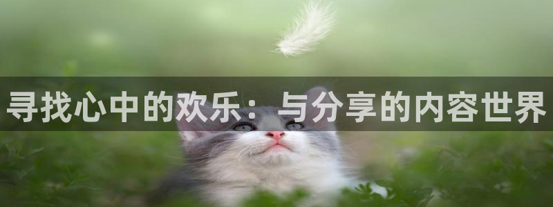 天顺娱乐：寻找心中的欢乐：与分享的内容世界