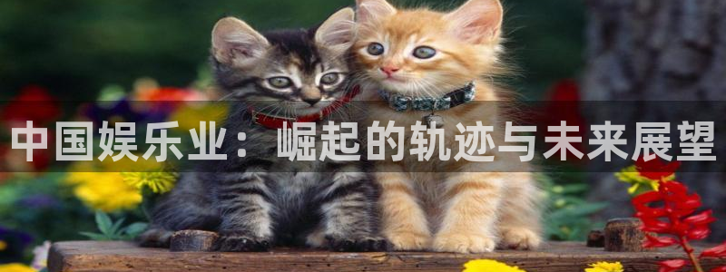 天顺娱乐：中国娱乐业：崛起的轨迹与未来展望