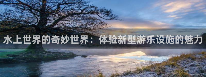 天顺娱乐：水上世界的奇妙世界：体验新型游乐设施的魅力