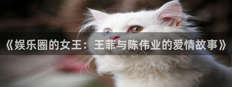 天顺娱乐：《娱乐圈的女王：王菲与陈伟业的爱情故事》
